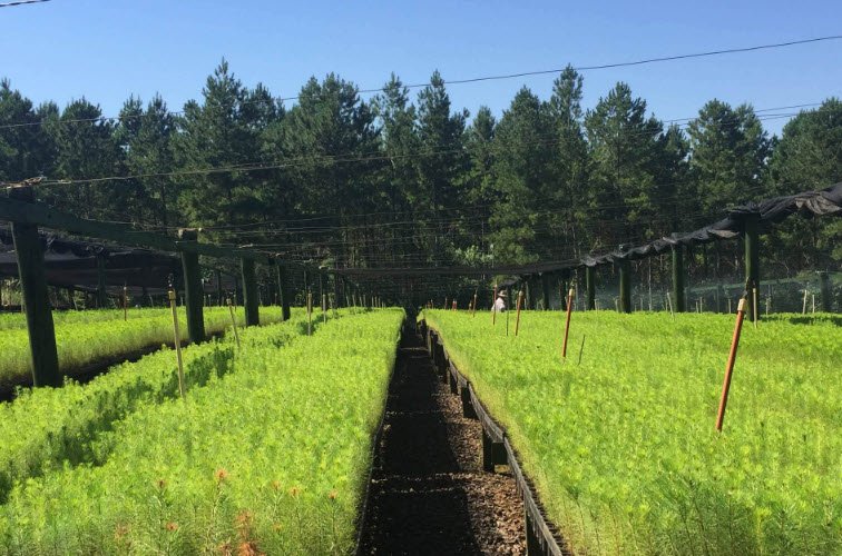 Universidad Nacional de Misiones, Argentina